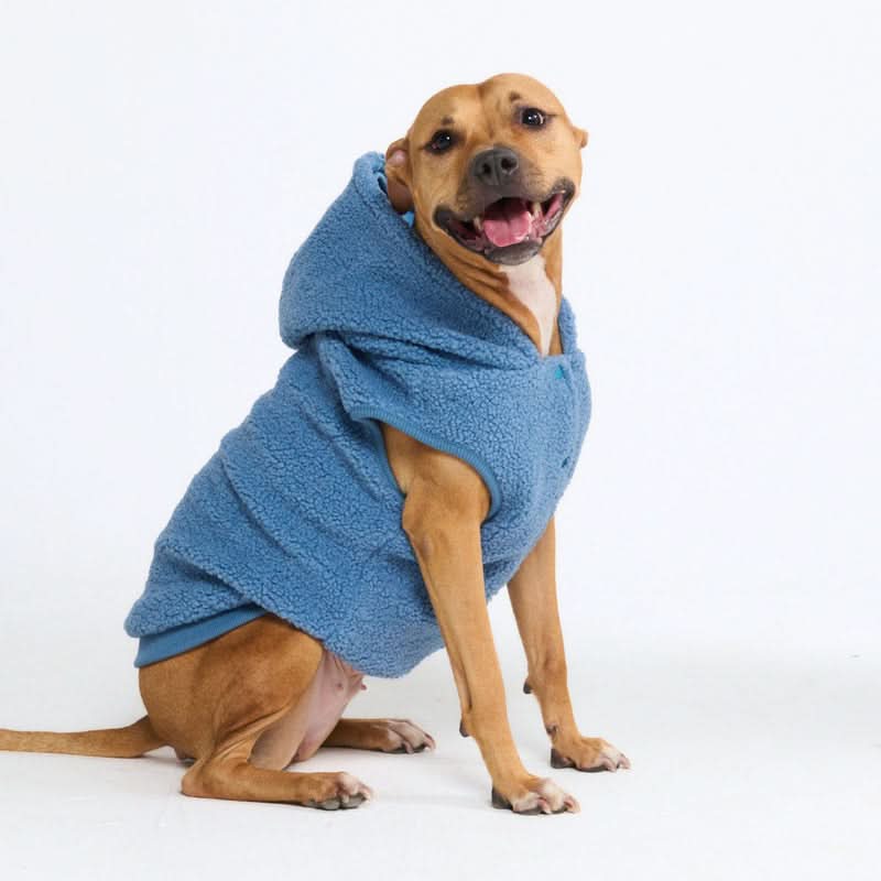Teddy Sherpa Dog Jackets - Image 40