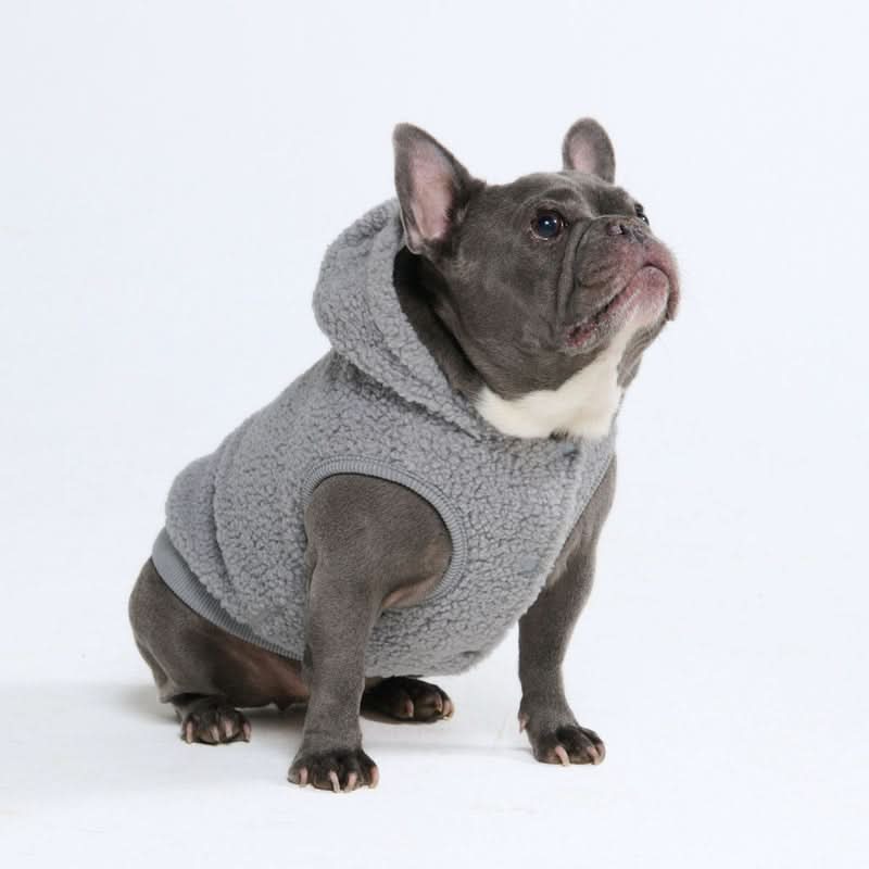 Teddy Sherpa Dog Jackets - Image 55