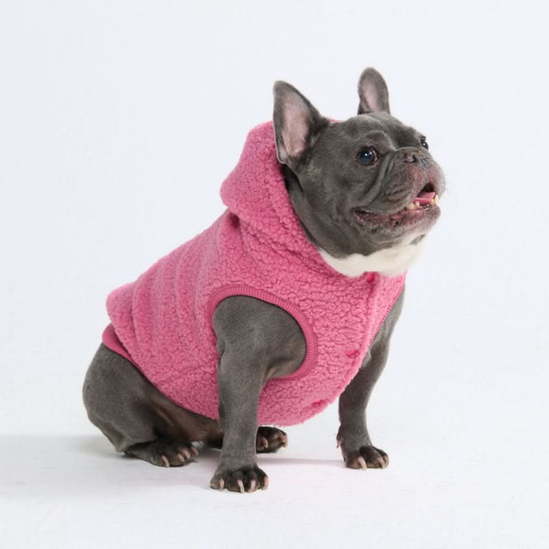 Teddy Sherpa Dog Jackets - Image 7