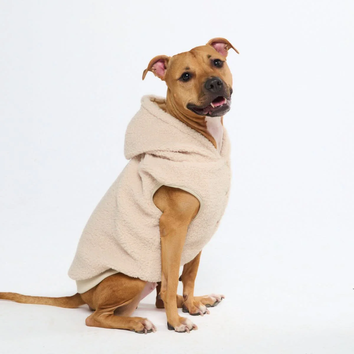 Teddy Sherpa Dog Jacket - Beige - Image 3