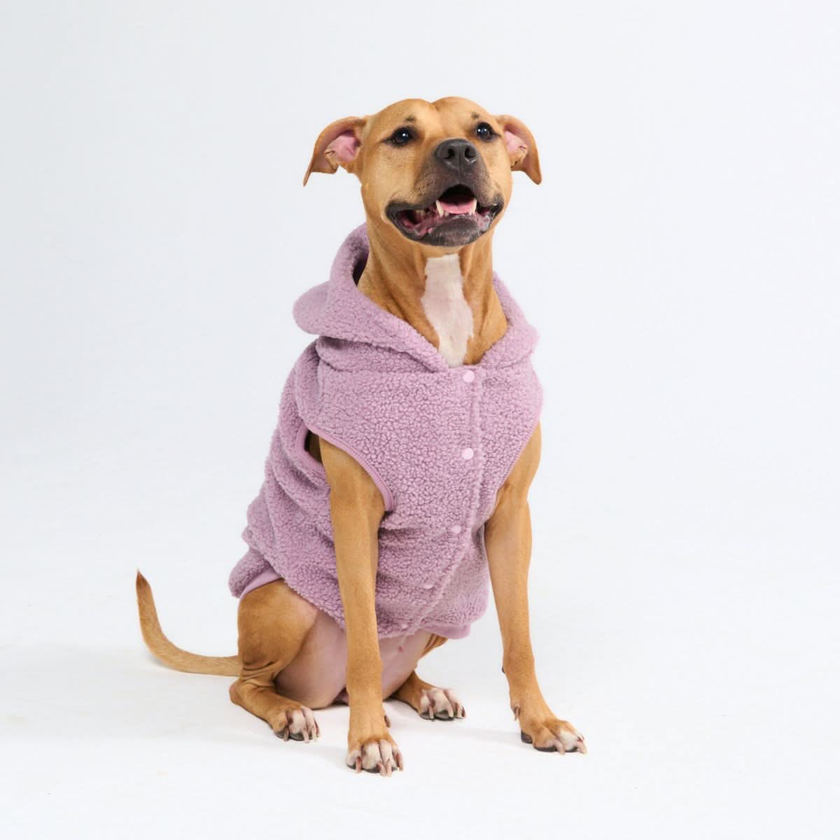 Teddy Sherpa Dog Jacket - Taupe - Image 3