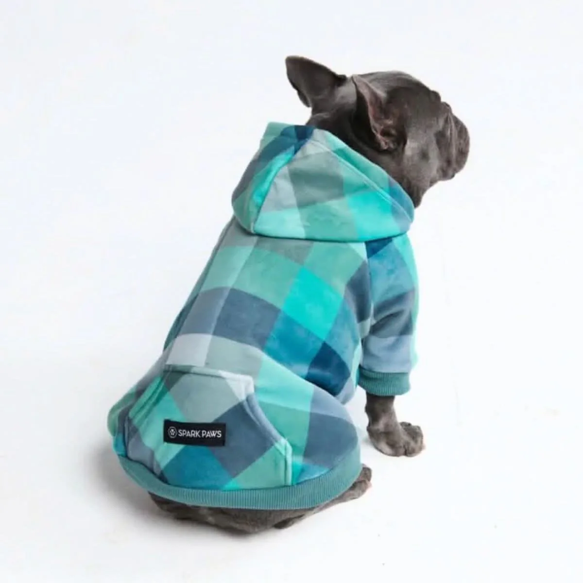 Velvet Dog Hoodie - Turquoise Checkered - Image 3