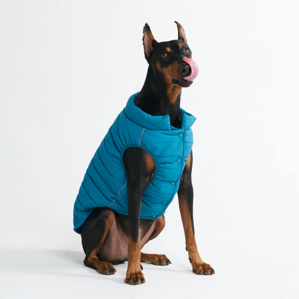 WarmShield Water-Resistant Jacket - Teal - Image 10