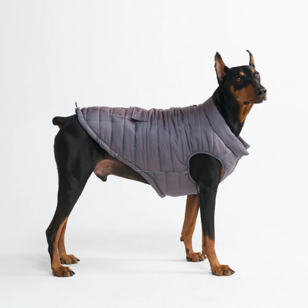 WarmShield Water-Resistant Jacket - Gunmetal Grey - Image 4
