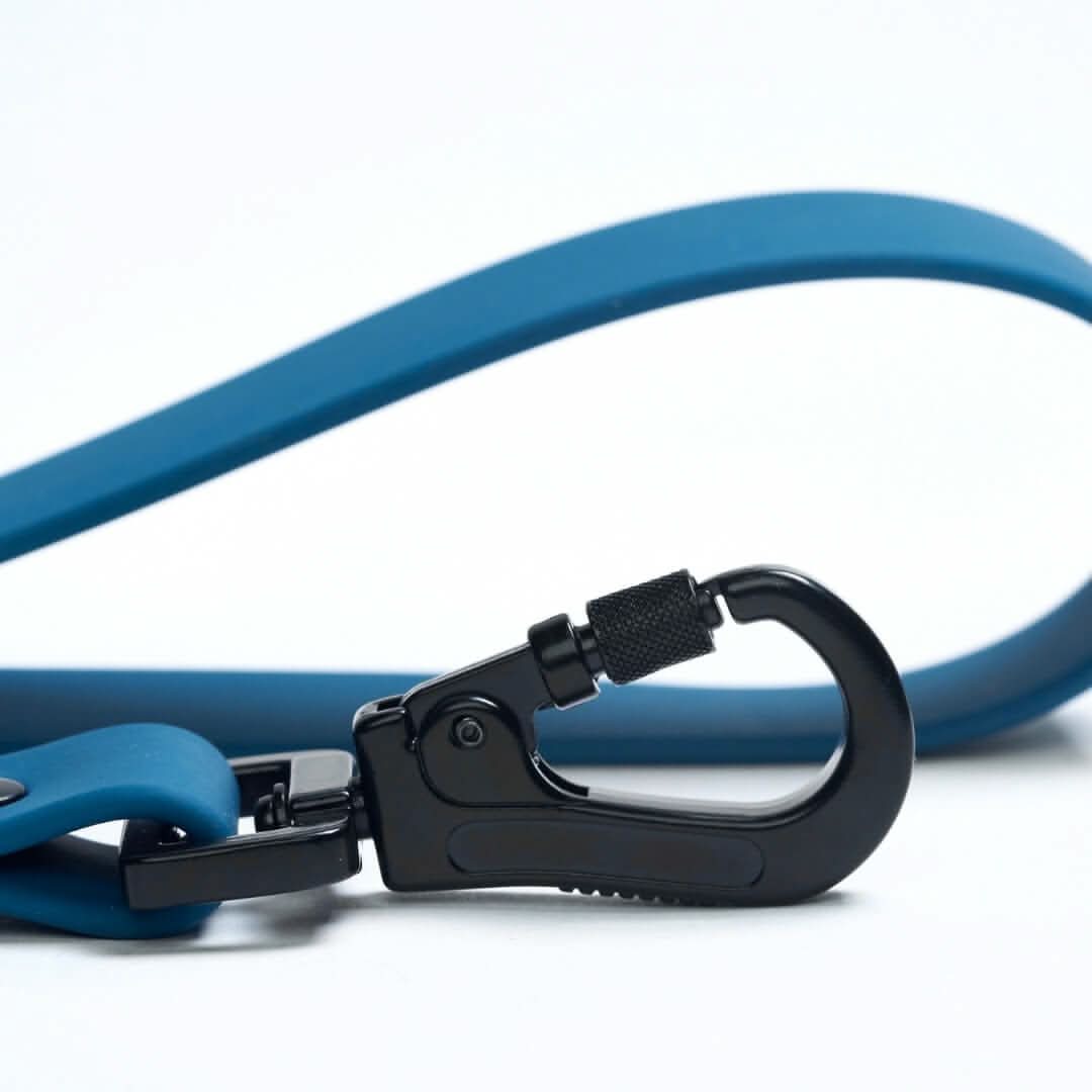 Waterproof PVC Dog Leash (Multi-Color) - Image 10