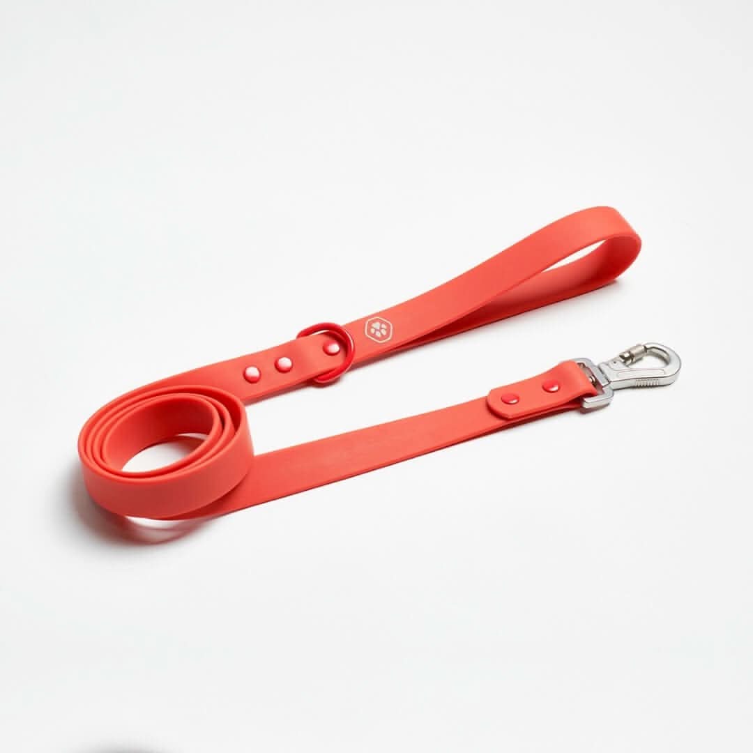 Waterproof PVC Dog Leash (Multi-Color) - Image 11