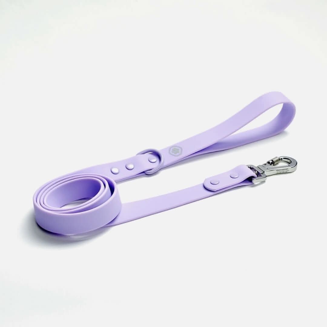 Waterproof PVC Dog Leash (Multi-Color) - Image 5