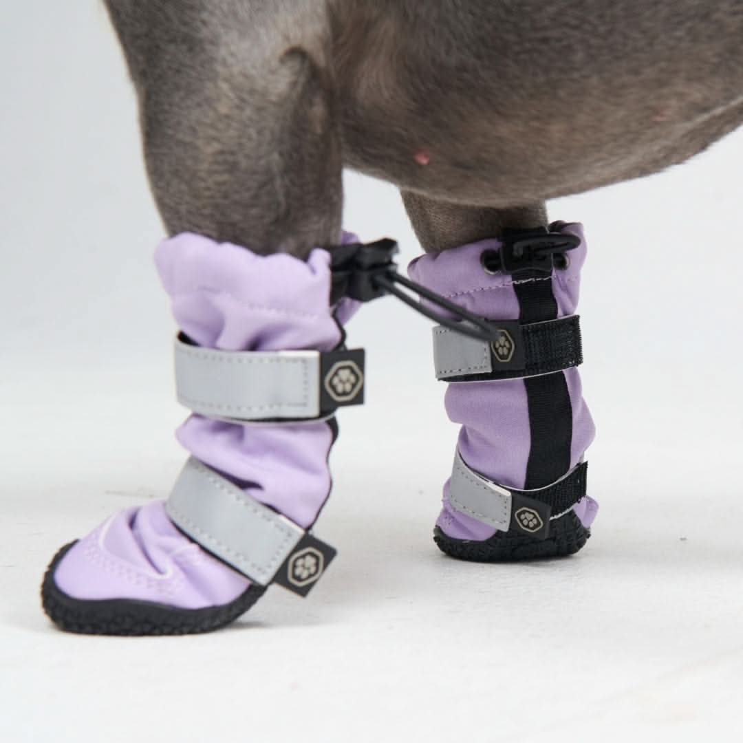 Dog Rainboots, Waterproof Dog Shoes - Image 11