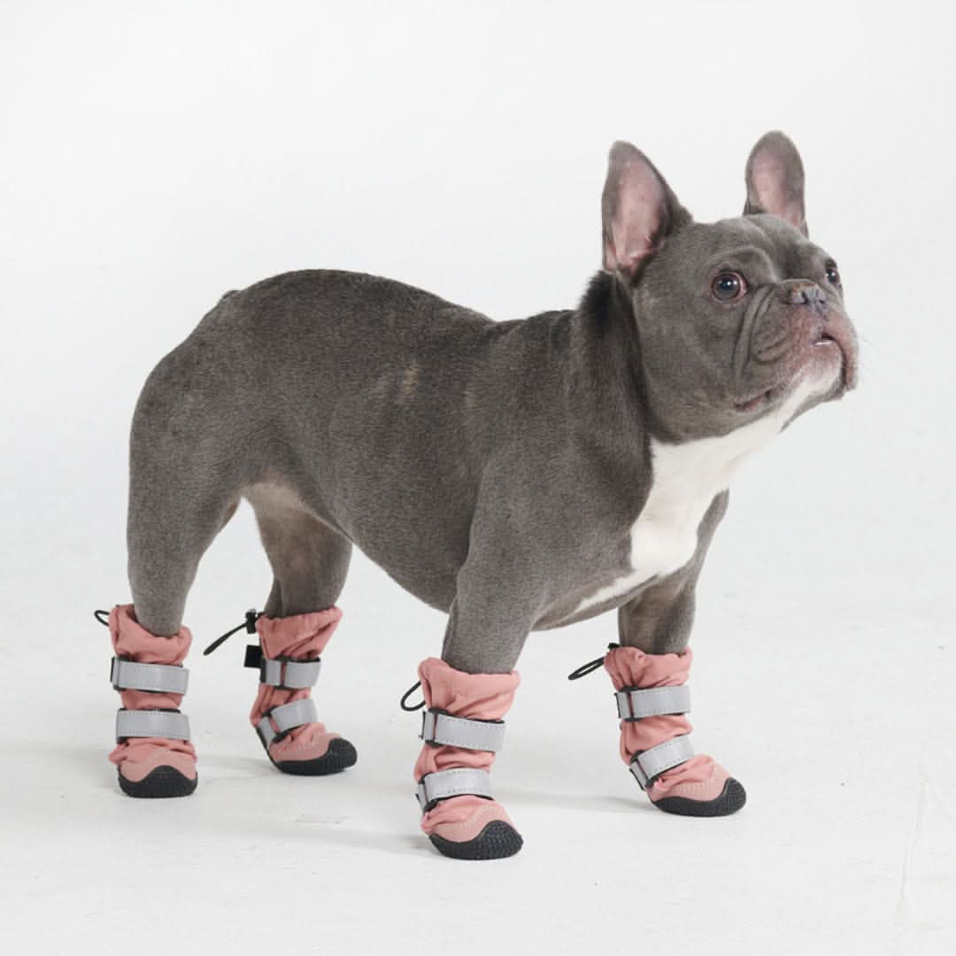 Dog Rainboots, Waterproof Dog Shoes - Image 18
