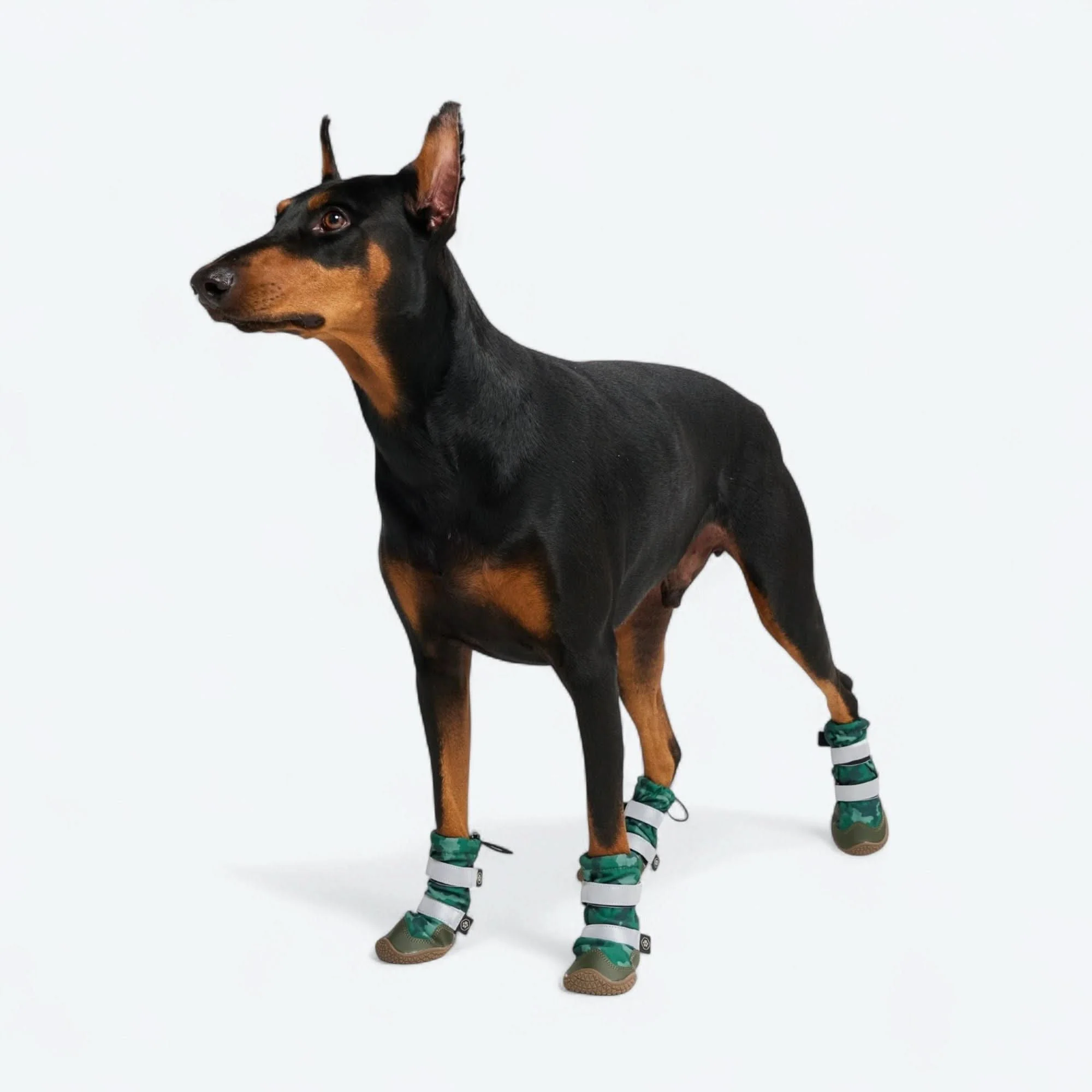 Dog Rainboots, Waterproof Dog Shoes - Image 23