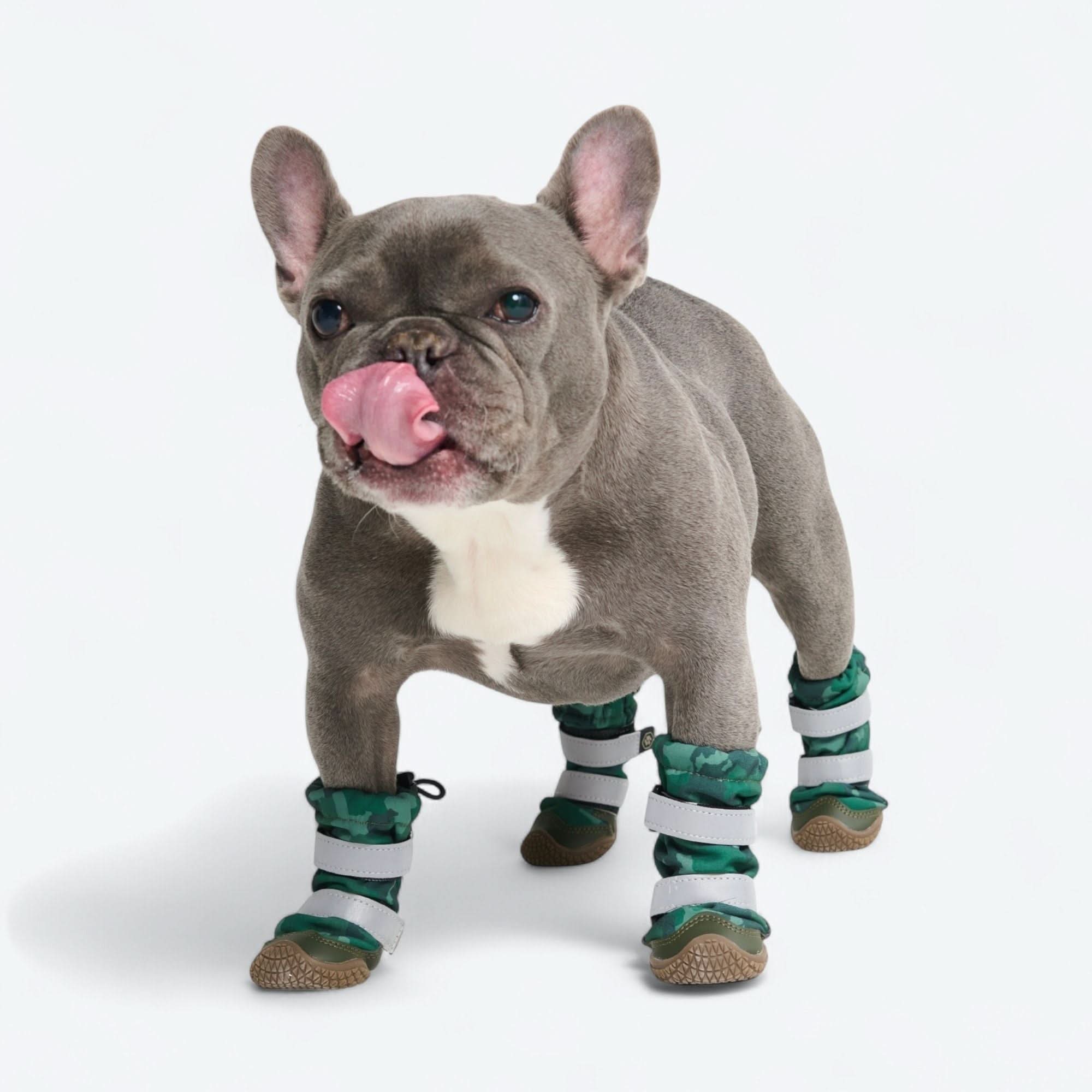 Dog Rainboots, Waterproof Dog Shoes - Image 27