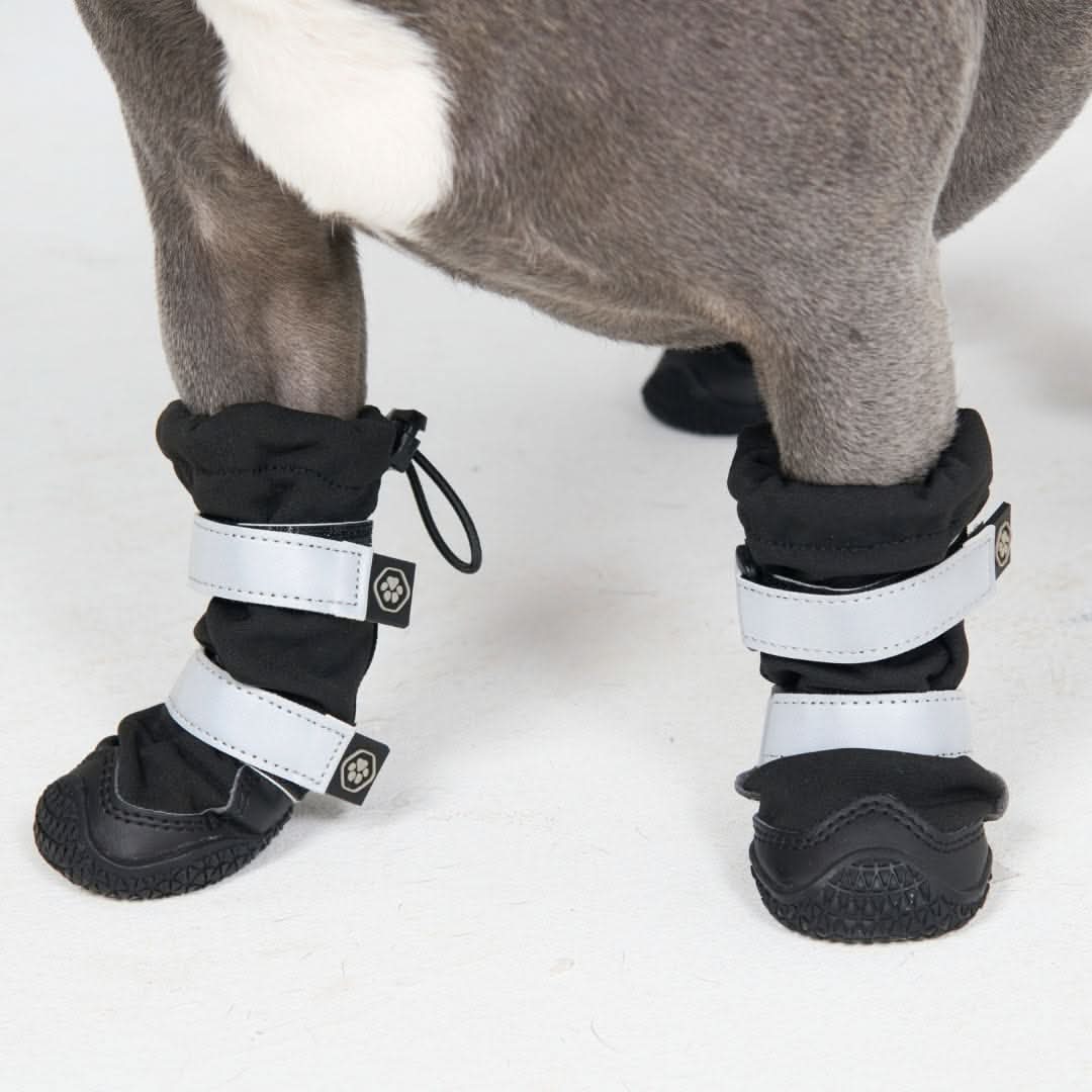 Dog Rainboots, Waterproof Dog Shoes - Image 3
