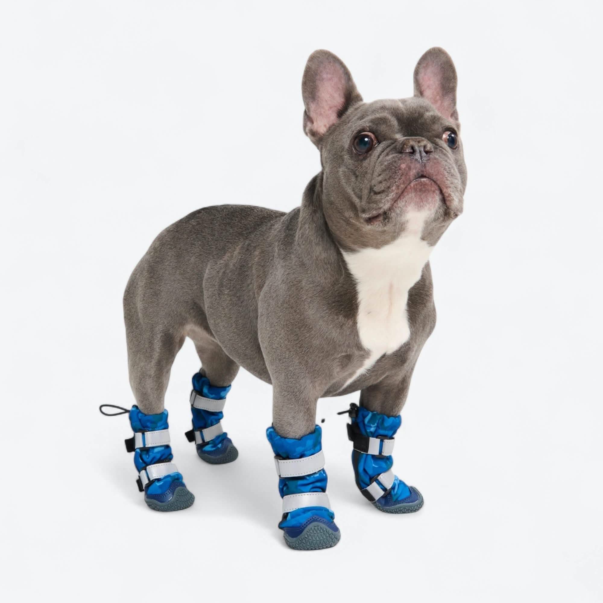 Dog Rainboots, Waterproof Dog Shoes - Image 31