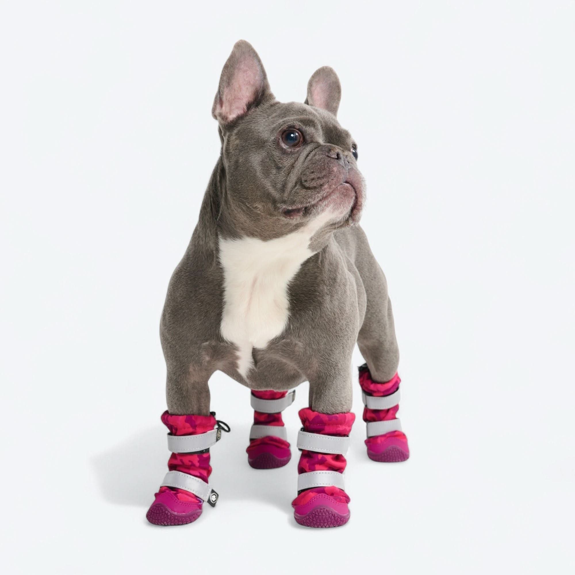 Dog Rainboots, Waterproof Dog Shoes - Image 42