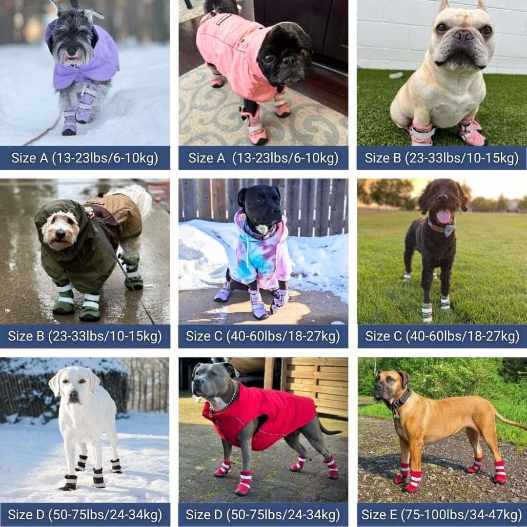 Dog Rainboots, Waterproof Dog Shoes - Image 29