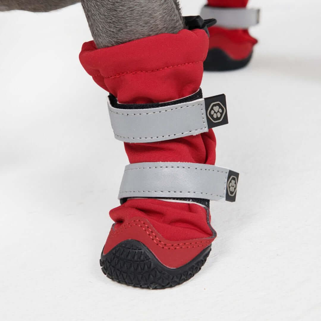 Dog Rainboots, Waterproof Dog Shoes - Image 30