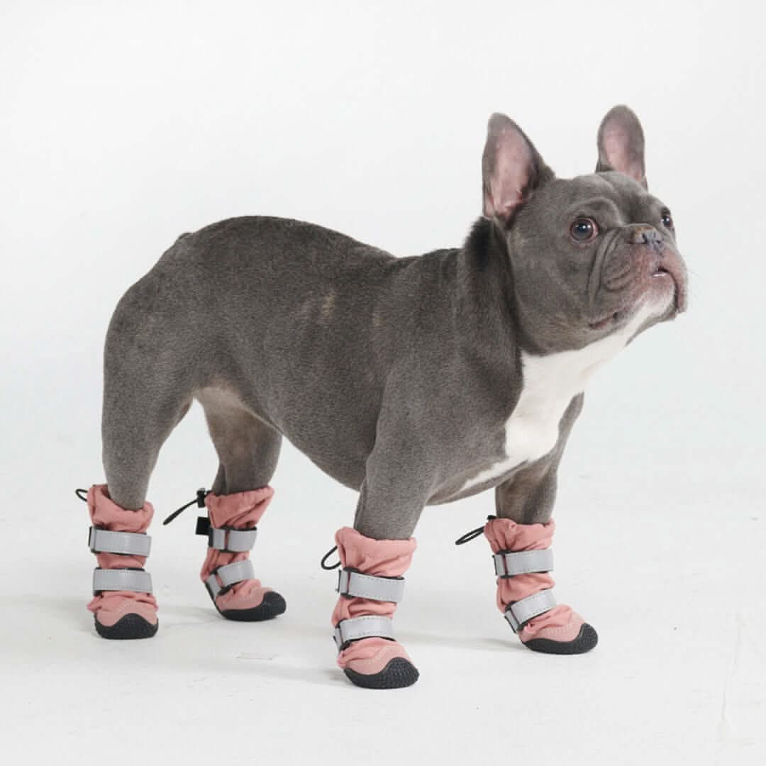 Dog Rainboots, Waterproof Dog Shoes - Image 33