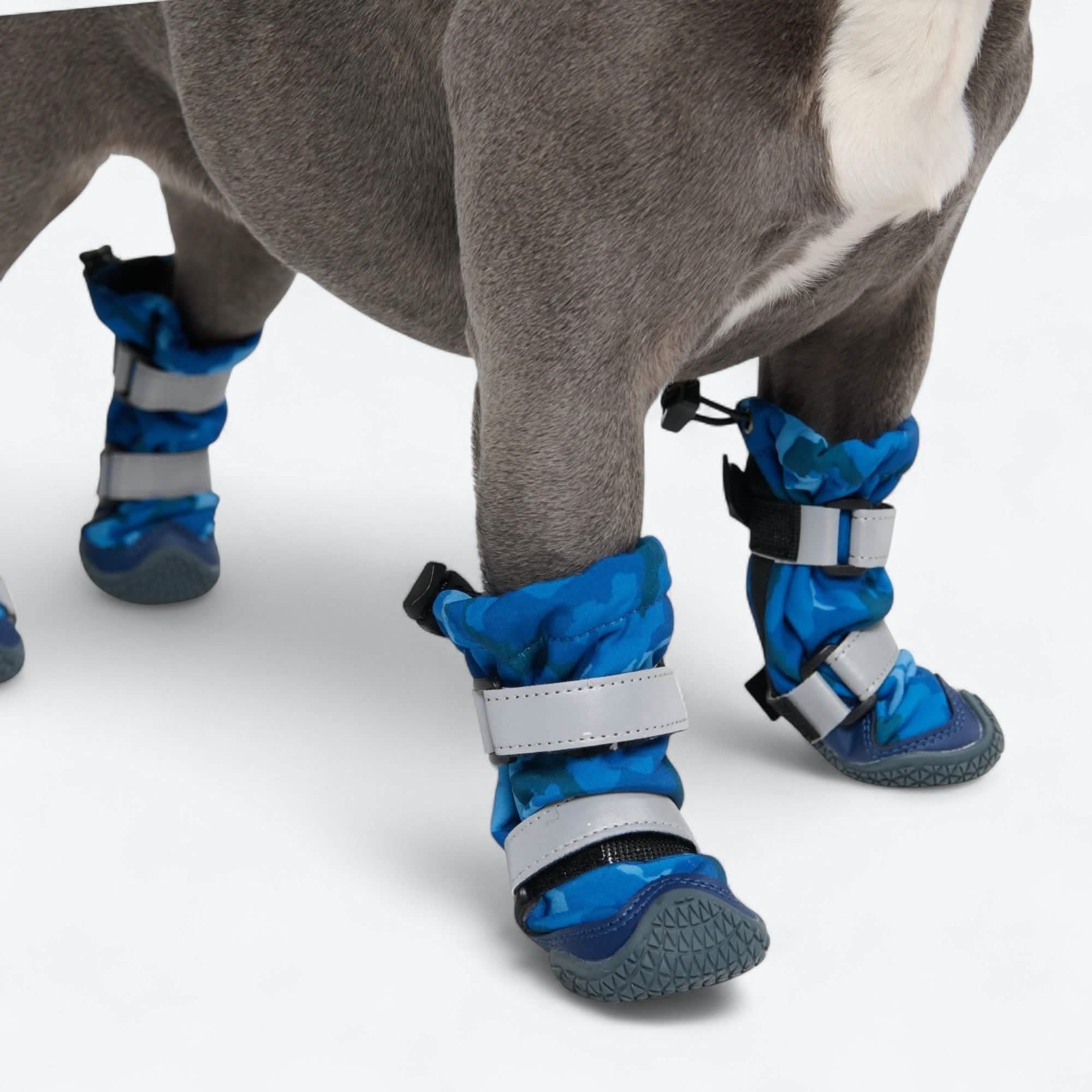 Dog Rainboots, Waterproof Dog Shoes - Image 50