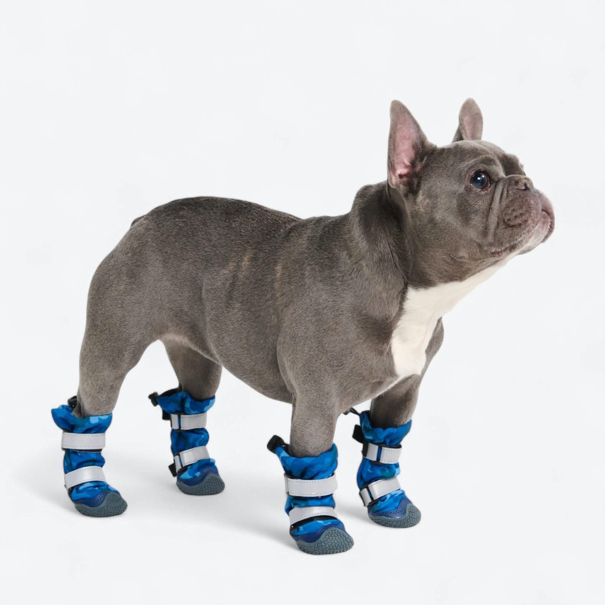 Dog Rainboots, Waterproof Dog Shoes - Image 51