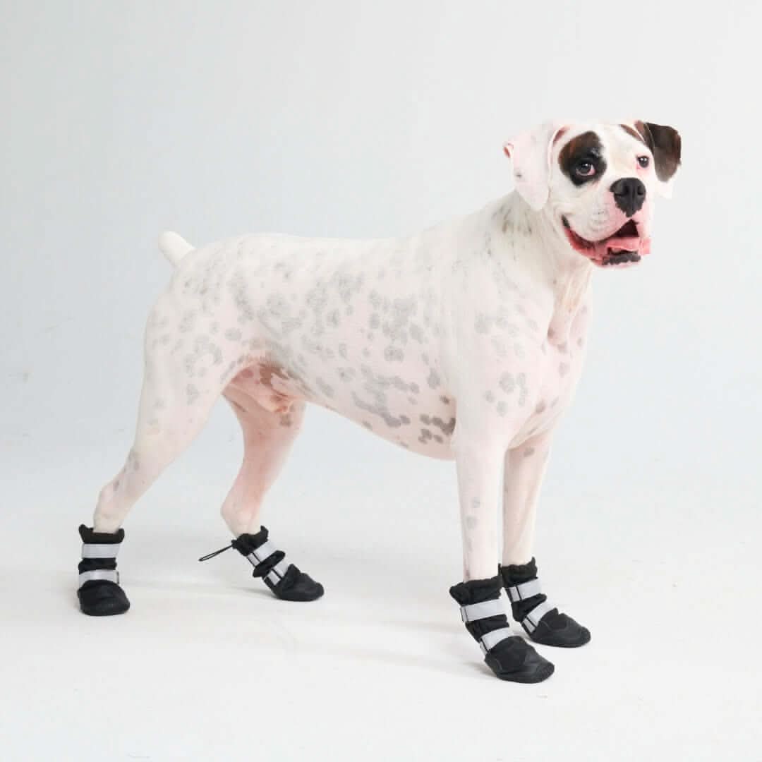 Dog Rainboots, Waterproof Dog Shoes - Image 8