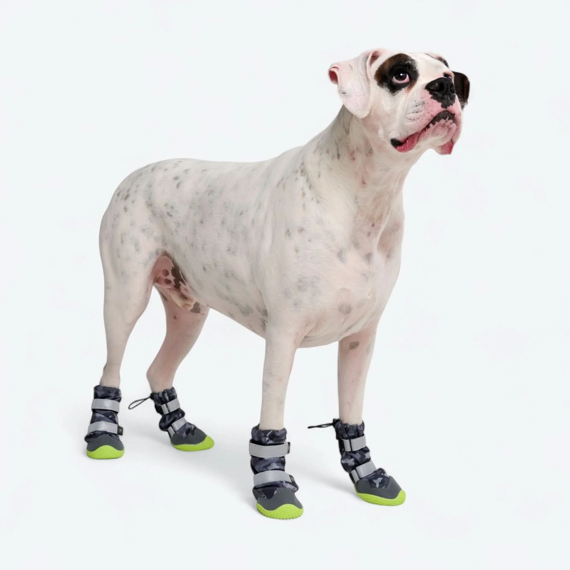 Dog Rainboots, Waterproof Dog Shoes - Grey Camo - Image 4