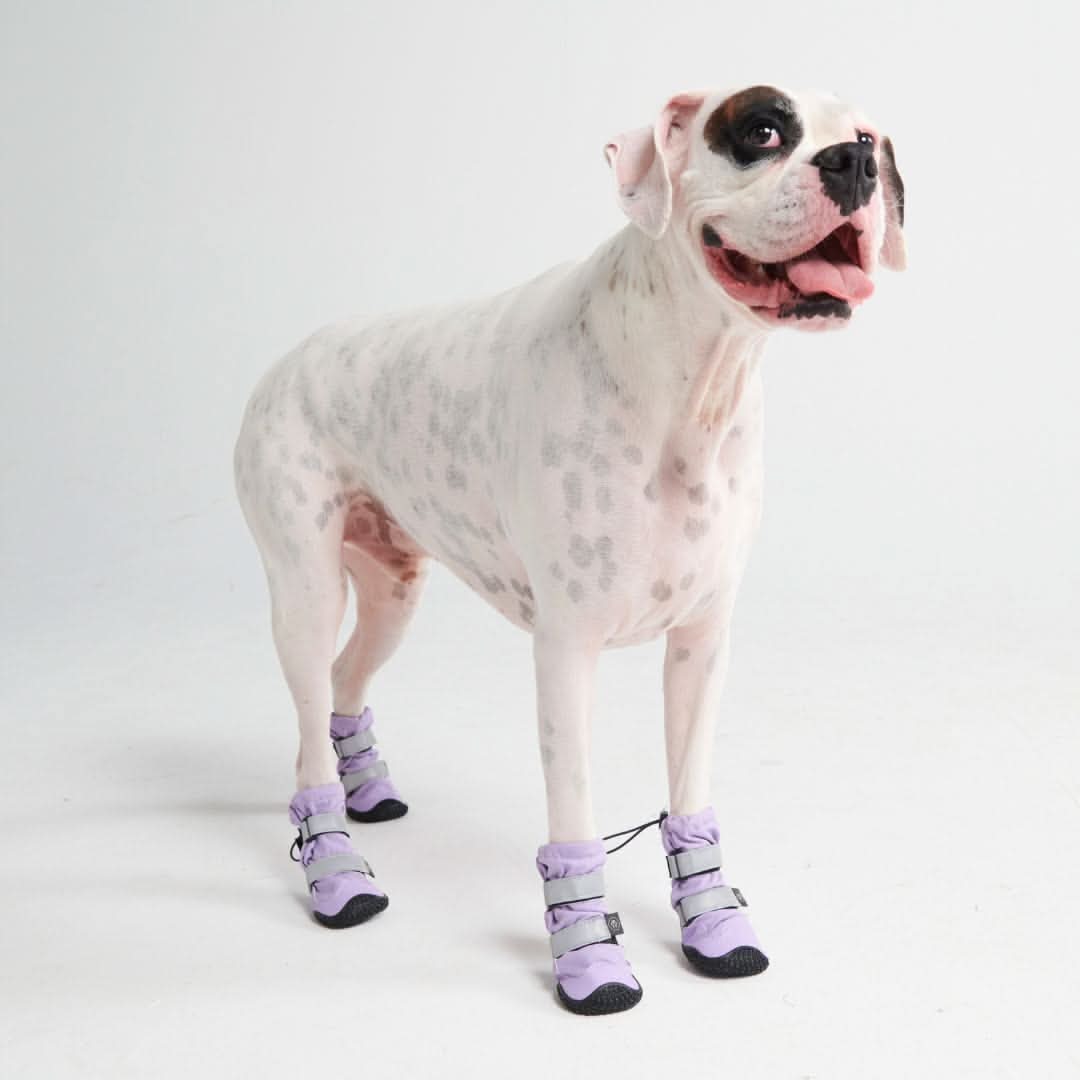 Dog Rainboots, Waterproof Dog Shoes - Lilac - Image 6