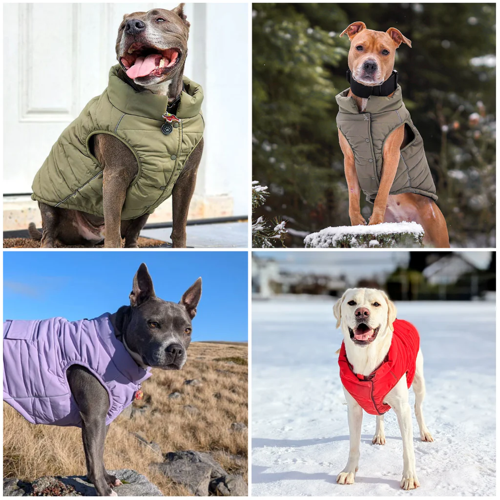WarmShield Water-Resistant Jackets - Image 101